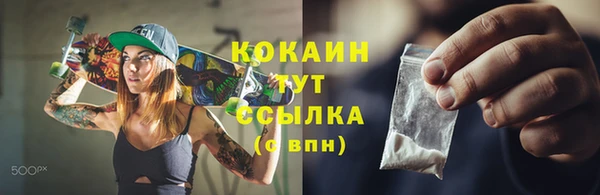 хмурый Ветлуга