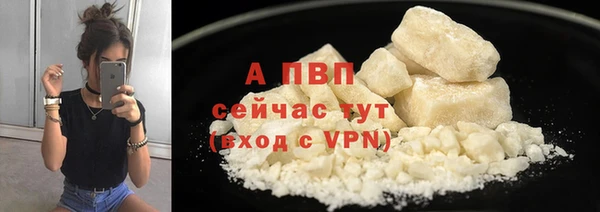 хмурый Ветлуга