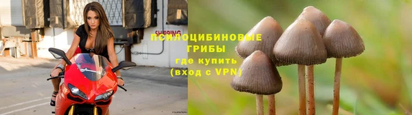 хмурый Ветлуга