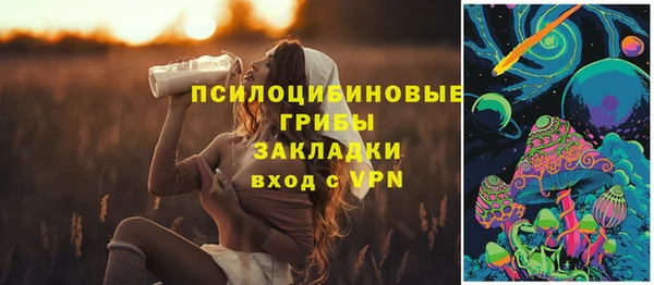 хмурый Ветлуга