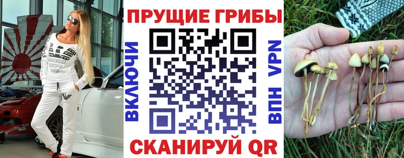 Псилоцибиновые грибы Magic Shrooms  блэк спрут как войти  Вязьма 