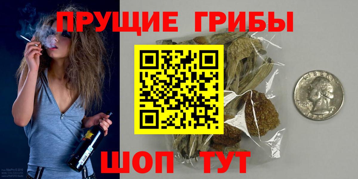 Псилоцибиновые грибы Psilocybe  Вход с VPN  Псилоцибиновые грибы мухоморы  Вязьма 